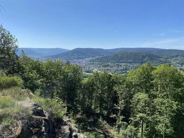 Image qui illustre: Le Belvédère De Montiroche