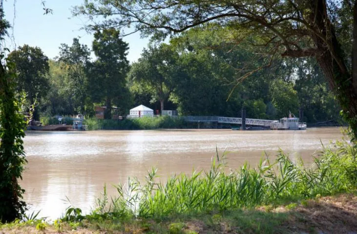 Image qui illustre: Ile d'Arcins