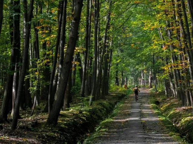 Image qui illustre: Circuit Vtt N°83 La Nivallée