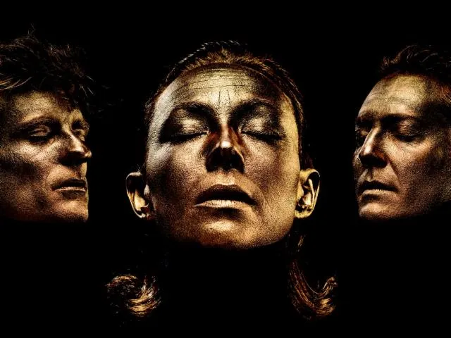 Image qui illustre: Entoartix