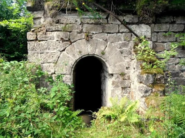 Image qui illustre: Circuit Du Bambois