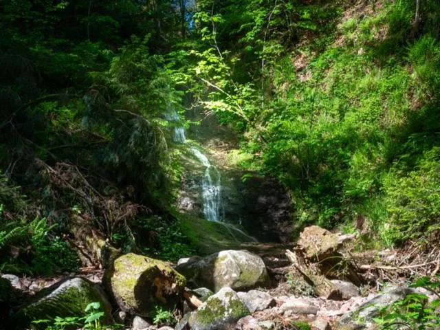 Image qui illustre: Le Saut De La Bourrique