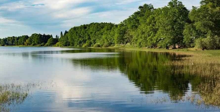 Image qui illustre: Rando : Lac de Bouzey