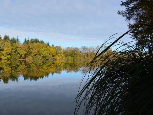 Image qui illustre: Circuit Le Roulier Xt N°10