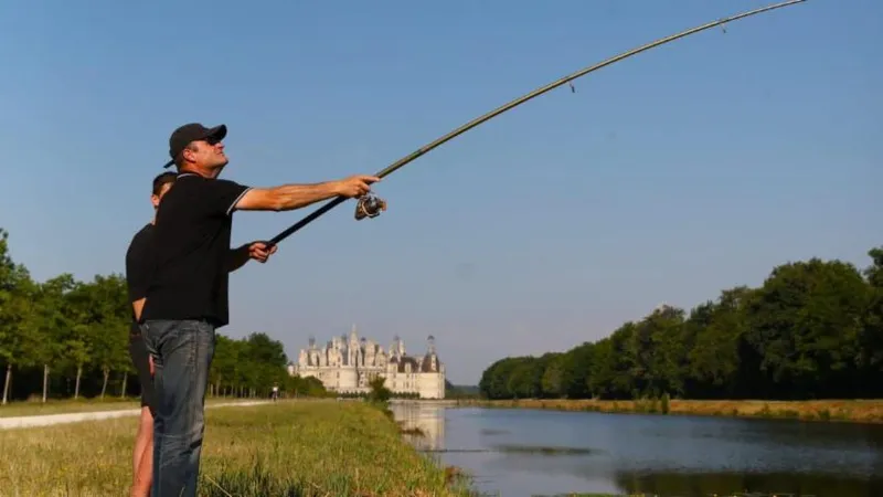 Image qui illustre: Pêcher À Chambord